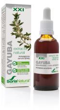 Gayuba Extract