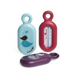 Bao Thermometer