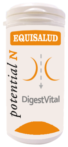 Digessvital 60 Capsules