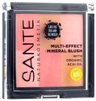 Multi Effect Blush 6 Shades 01 Coral 8 gr