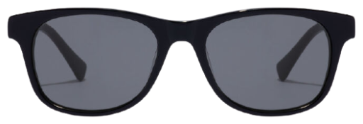 Sunglasses Nº35