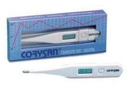 Flexible Digital Clinical Thermometer