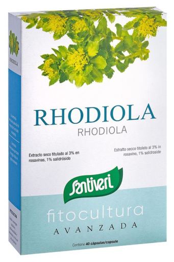 Rhodiola 40 Capsules