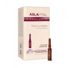 Collagen Ampoules 10 x 2 ml