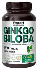 Ginkgo Biloba 60+30 Capsules